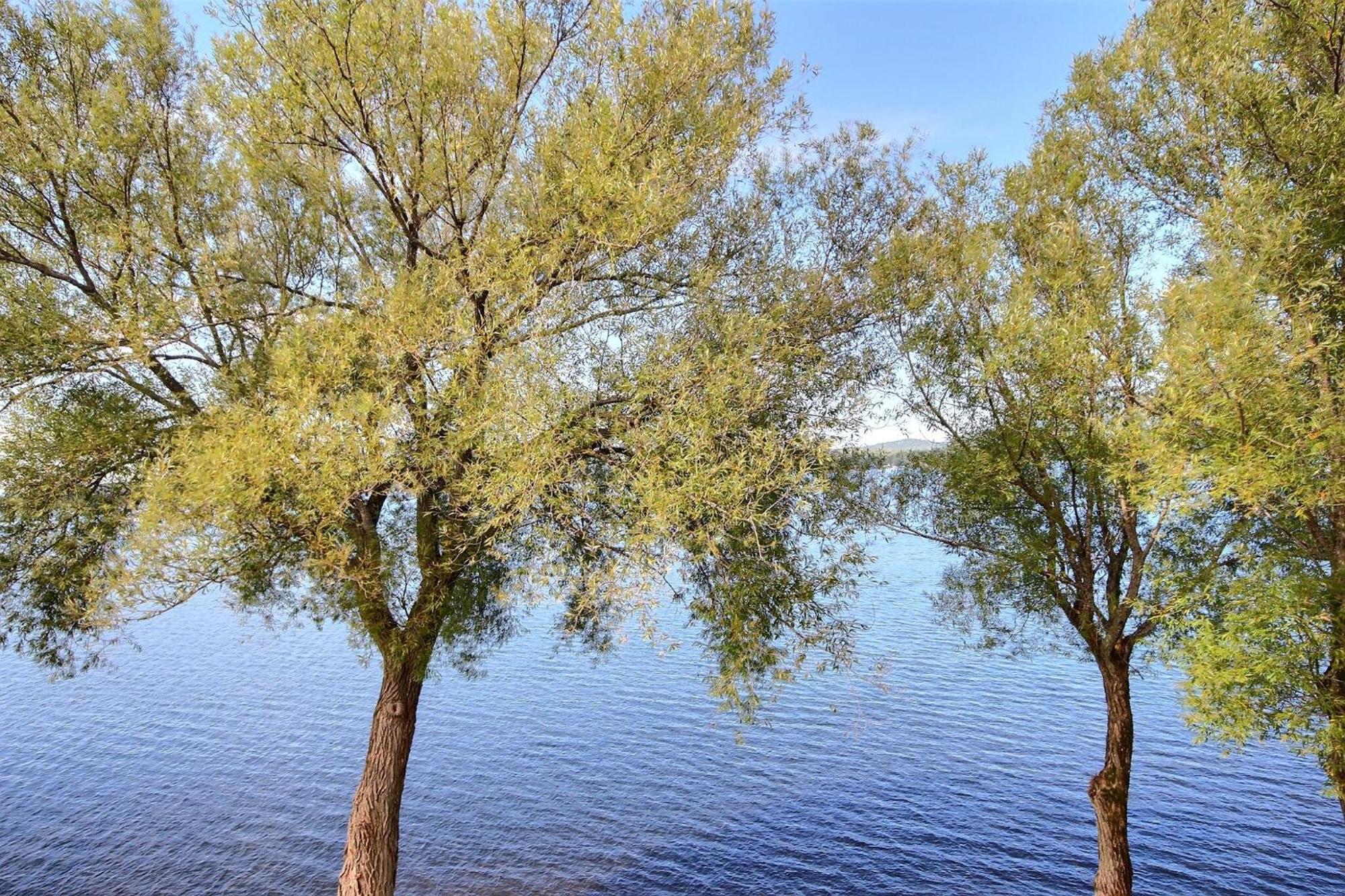 Location Tourisme Estrie - Oberge du Village Magog Extérieur photo